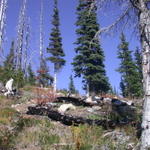 DSCN4960