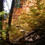 DSCN4983