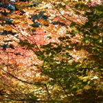 DSCN4984