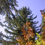 DSCN4986