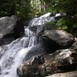 DSCN4887