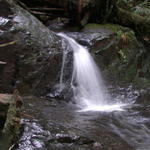 DSCN5315