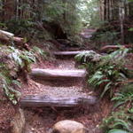 DSCN5321
