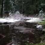 DSCN5324