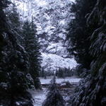 DSCN5331