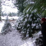 DSCN5332