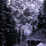 DSCN5341