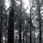 DSCN5380