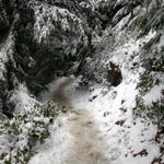 DSCN5382