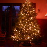 DSCN5919