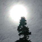 DSCN5512
