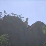 DSCN5725