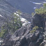 DSCN5729