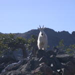 DSCN5730