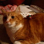 DSCN5931