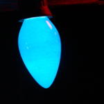 DSCN5942