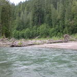 DSCN5995