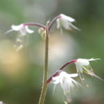 DSCN6004