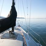 IMG_4720.jpg
