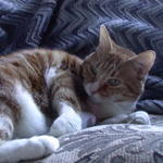 DSCN5957