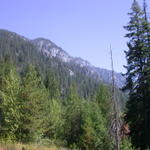 DSCN6181