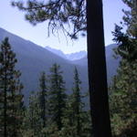 DSCN6184
