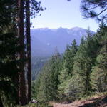 DSCN6185