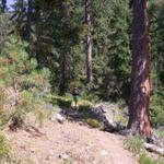 DSCN6186