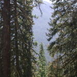 DSCN6187