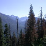 DSCN6196