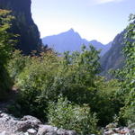 DSCN6205