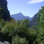 DSCN6206