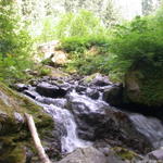 DSCN6208