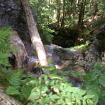 DSCN6209