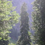 DSCN6215