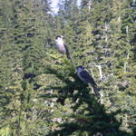 DSCN6231