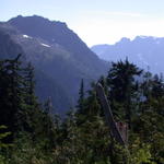 DSCN6254