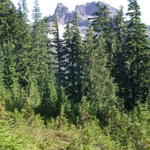 DSCN6256