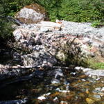 DSCN6262