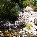 DSCN6263