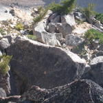 DSCN6307
