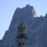 DSCN6323