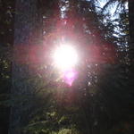 DSC00037