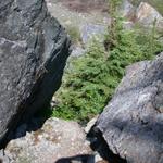 DSCN1311