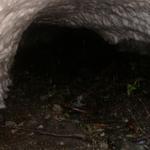 DSCN1317
