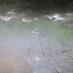 DSCN1332