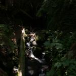 DSCN1333