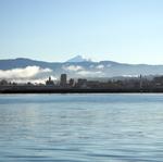 IMG_4723.jpg