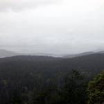 DSCN5462