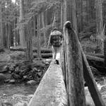 DSCN1975